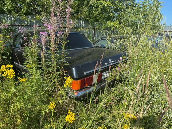 Автомобиль ГАЗ-3302, 2007 г.в., г/н М116ТН33, VIN X9631020071376832 (Реализация по прямому назначению).