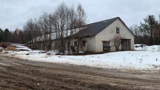 Здание, кадастровый номер 35:02:0213017:81, назначение: нежилое, количество этажей, в том числе подземных этажей: 1, в том числе подземных 0, общей площадью 568,5 кв. м (Российская Федерация, Вологодская область, Бабаевский р-н, с. Борисово-Судское, ул. Лесная);  и расположенный под объектом недвижимости земельный участок с кадастровым номером 35:02:0211004:221, площадью 5000 кв. м (Российская Федерация, Вологодская область, Бабаевский р-н, с/с Борисовский, с. Борисово-Судское, ул. Лесная)