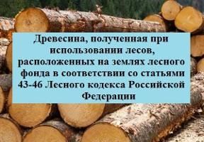 Древесина 2021 куб. м (вся древесина - хлысты)