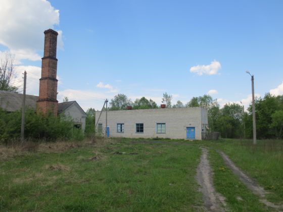 Земельный участок (кадастровый №32:05:0260301:189, площадь 57650 кв. м); Здание  кадастровый №32:05:0081601:301, площадью 1249,6 кв. м), Административное здание, кадастровый №32:05:0081601:293, площадью 150,6 кв. м), Здание хозяйственный корпус, кадастровый №32:05:0081601:287, площадью 388,3 кв. м),Здание  склад, кадастровый №32:05:0081601:304, площадью 126,4 кв. м), Овощехранилище кадастровый №32:05:0081601:291, гараж кадастровый №32:05:0081601:280.