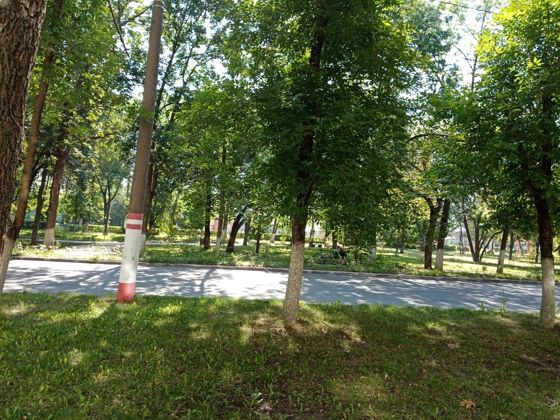 Объект аренды, площадь 272 кв. м, номера на поэтажном плане: Этаж 1,  ком. №№ 1-7,№20, адрес (местонахождение) объекта: 430027, Мордовия Респ, Саранск г, 50 лет Октября пр-кт, дом № 2, пом. 1