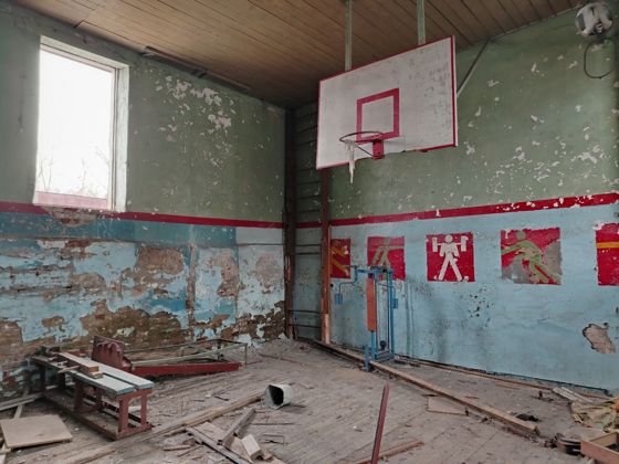 Нежилое здание, площадью 208,7 кв.м., расположенное по адресу: Российская Федерация, Алтайский край, Усть-Пристанский муниципальный район, сельское поселение Усть-Пристанский сельсовет, село Усть – Чарышская Пристань, ул. 1 Мая,19г, кадастровый номер  22:55:110402:2697, земельный участок из категории земли населенных пунктов, вид разрешенного использования - Спорт, кадастровый номер  22:55:110402:2392, площадью 550 кв.м.
