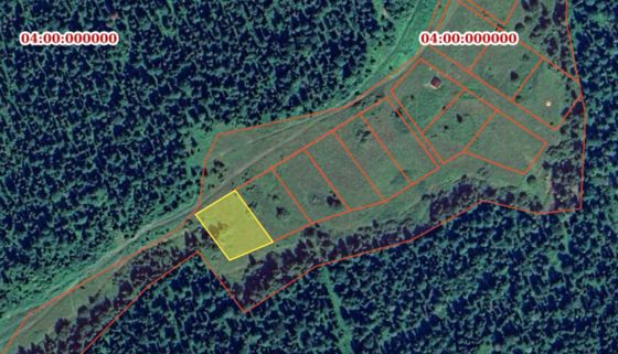 Земельный участок с кадастровым номером 04:02:070403:71, площадью 2500 кв. м., расположенный по адресу: Российская Федерация, Республика Алтай, Чойский район, с. Кузя, ул. Родниковая, 10, вид разрешенного использования – для строительства жилого дома