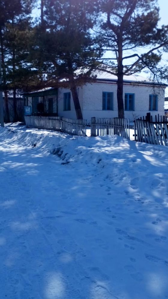 Нежилое здание и земельный участок (с. Албазинка, ул. Центральная, 4)