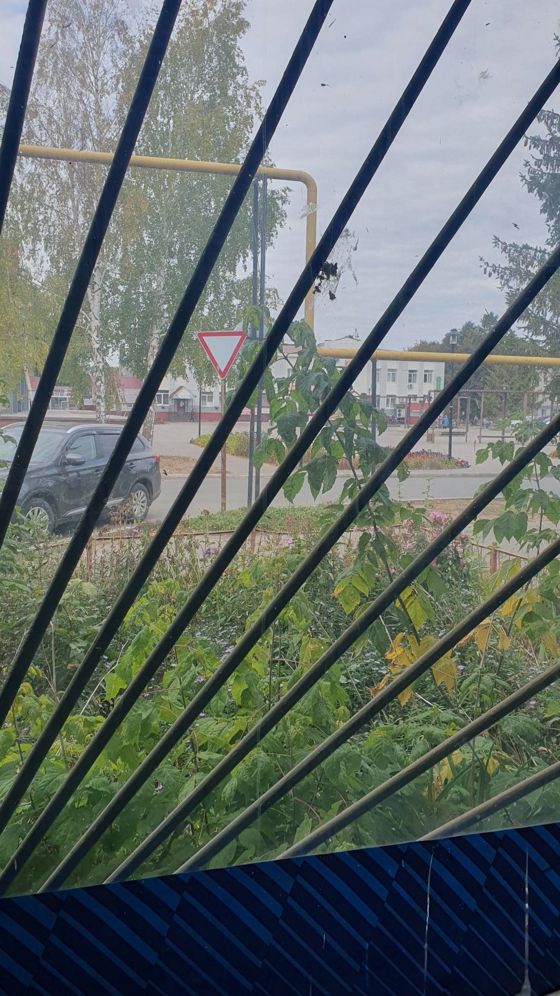 Объект аренды, площадь 71 кв. м, номера на поэтажном плане: Этаж 1, помещение № ч.21, 25-28, адрес (местонахождение) объекта: 429040, Чувашская Республика - Чувашия, Красночетайский р-н, Красные Четаи с, Победы пл, дом № 5