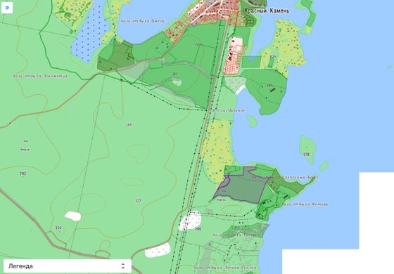 Право на заключение договора аренды лесного участка в Кыштымском лесничестве для осуществления рекреационной деятельности