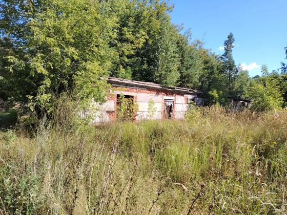 Годные (утилизационные) остатки здания (склад), площадь 260,7 кв.м,  кадастровый номер 43:07:020101:1173,  1978 года постройки, назначение: нежилое, по адресу: Кировская область, р-н Вятскополянский, пгт Красная Поляна,  ул. Сосновая, д. 24