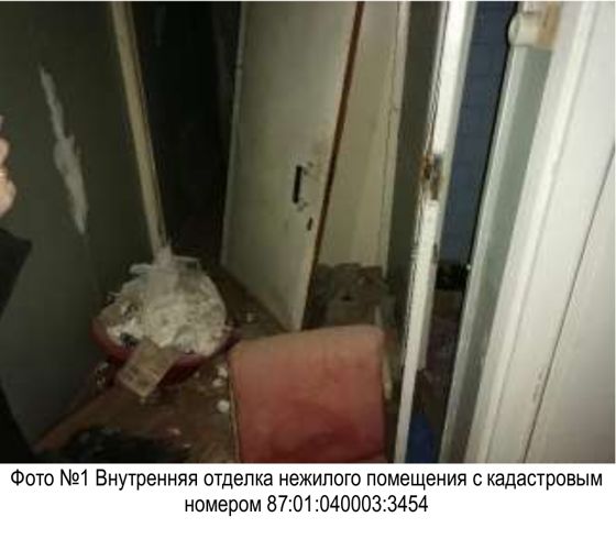 Помещение с кадастровым номером 87:01:040003:3454