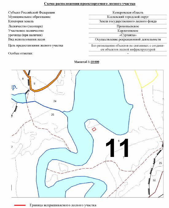 Лесной участок площадью 0,1061 га, имеющий местоположение: Российская Федерация, Кемеровская область-Кузбасс, Киселевский городской округ, Прокопьевское лесничество, Керлегешское участковое лесничество, урочище Суртаиха, квартал № 11 (выдел 6).