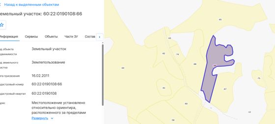 Земельный участок с кадастровым номером 60:22:0190108:66