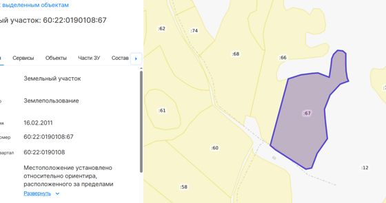 Земельный участок с кадастровым номером 60:22:0190108:67