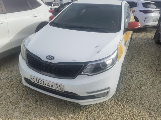 KIA RIO