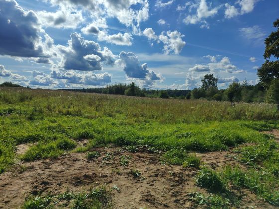 Земельный участок расположенный по адресу: Ивановская обл., Родниковский район, д. Половчинново