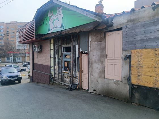 Нежилое помещение № 2 площадью 51,8 кв. м, 1 этаж, кадастровый номер 25:28:020006:1624, расположенное по адресу: Приморский край, г. Владивосток, проспект Острякова, 11, пом. № 2