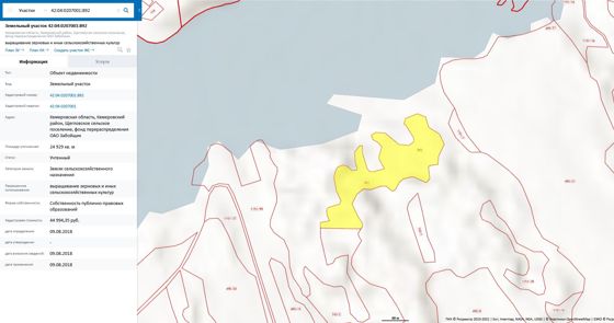 Земельный участок, пл.24929 кв.м, кадастровый №42:04:0207001:892, разрешенное использование: выращивание зерновых и иных сельскохозяйственных культур, по адресу: Кемеровская область, Кемеровский район, Щегловское сельское поселение, фонд  перераспределения                    ОАО Забойщик. Срок аренды 5 лет