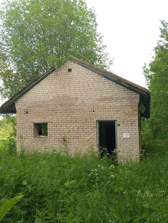 Нежилое здание (баня), площадь 53,4 кв.м; земельный участок, площадь 234 кв.м, расположенное по адресу: Новгородская область, Новгородский район, с/п Борковское, д. Толстиково
