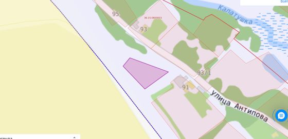 земельный участок с кадастровым номером 36:15:0800003:190, площадью 1100 кв.м., категория земель - «земли населенных пунктов», разрешенное использование: ведение личного подсобного хозяйства на полевых участках, местоположение: Воронежская область, Нижнедевицкий район,  с.Верхнее Турово, ул.Антипова, 93е