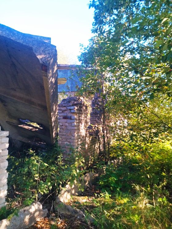 Скотный двор (оставшаяся часть разрушенного здания), площадь 1006,5 кв.м; земельный участок, площадь 1416 кв.м, расположенное по адресу: Новгородская область, Новгородский район, д. Григорово