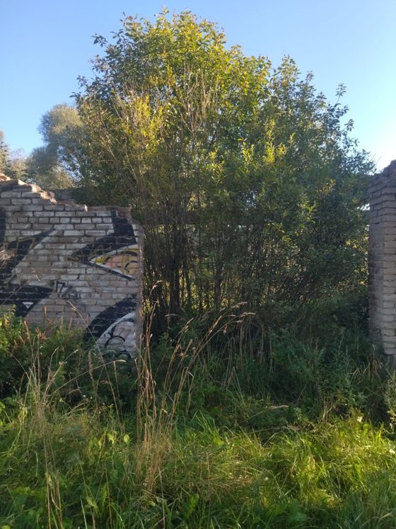 Здание скотного двора, учебного класса на ферме, площадь 1446,6 кв.м; земельный участок, площадь 1937 кв.м, расположенное по адресу: Новгородская область, Новгородский район, д. Григорово