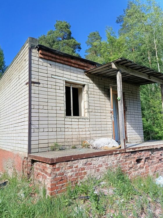 нежилое здание (детский оздоровительный лагерь )
