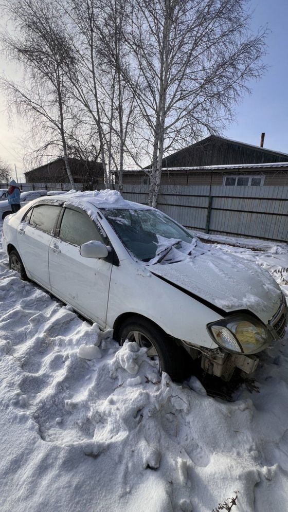 Автомобиль марки «TOYOTA COROLLA»  с государственным регистрационным знаком Е591ММ 75 RUS. Цвет белый. Рама № NZE1213052012. Салон - обивка тканевая. . Автомобиль марки «Тойота Ипсум», с государственным регистрационным знаком Е 950 КУ 75 рус., 1988 года выпуска, номер кузова SXV10 7126136, (Перечень в документации)