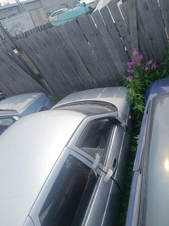 Автомобиль ВАЗ 21102, г/н С983МК124, 2003 г.в., VIN XTA21102030583641, двигатель № 2111 0779903, цвет серый. Находится в г. Канск, данное имущество обращено в доход государства (Документы, ключи отсутствуют). (2450/25)