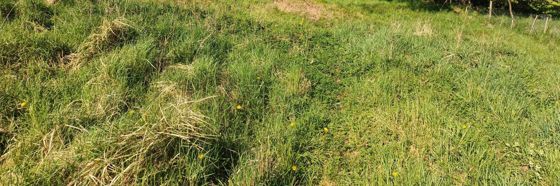 земельный участок
