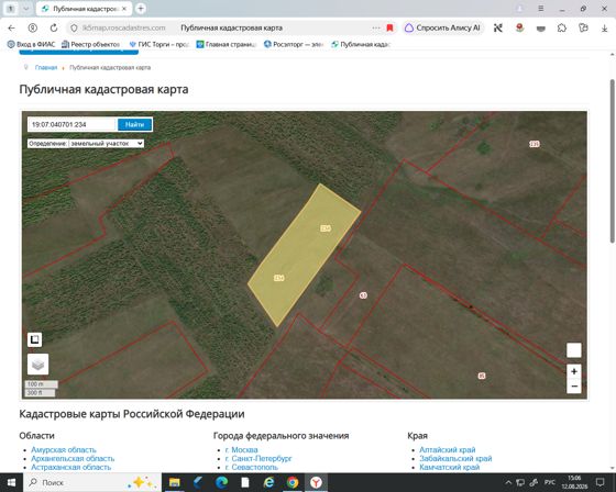 Земельный участок с кадастровым номером 19:07:040701:234
