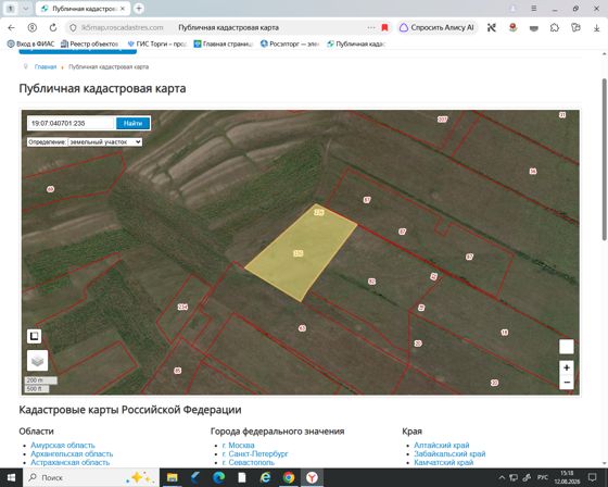 Земельный участок с кадастровым номером 19:07:040701:235