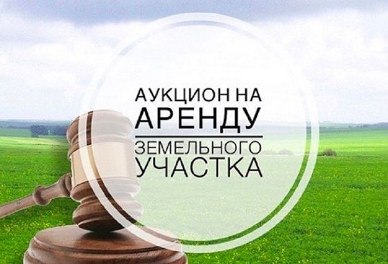 Земельный участок из земель  населенных пунктов Лопанского сельского поселения, вид территориальной зоны: зона застройки индивидуальными жилыми домами; с кадастровым номером 61:40:0600016:2254, с разрешенным видом использования: приусадебный участок личного подсобного хозяйства, имеющий местоположение: Ростовская  область,  Целинский  район,  с. Лопанка, ул. Калинина, д. 41, общей площадью 10000 кв. м.