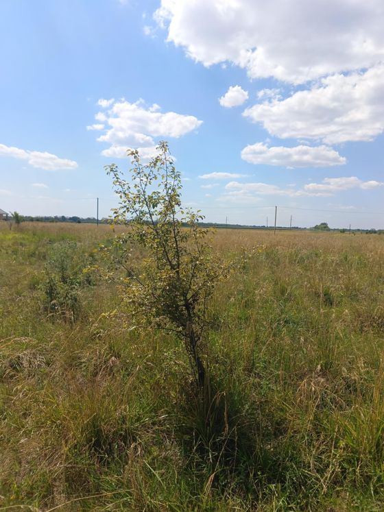 Право заключения договора аренды земельного участка