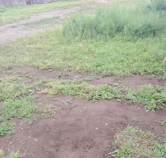 Граждане вправе подавать заявления о намерении участвовать в аукционе на право заключения договора аренды земельного участка