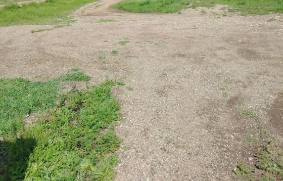 Граждане вправе подавать заявления о намерении участвовать в аукционе на право заключения договора аренды земельного участка