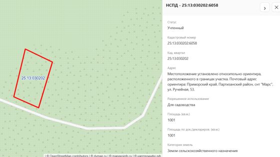 Земельный участок, земли сельскохозяйственного назначения, для садоводства, пл.1001+/-12кв.м., кад.№25:13:030202:6058, адрес: Местоположение установлено относительно ориентира, расположенного в границах участка. Почтовый адрес ориентира: Приморский край, Партизанский район, снт "Марс", ул. Ручейная, 53. Соб-к Давыденко В.В.