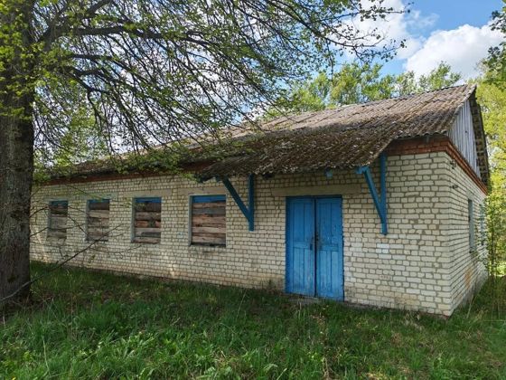 Нежилое здание и земельный участок - Калужская обл., р-н Людиновский, д. Печки, ул. Центральная, д. 3.