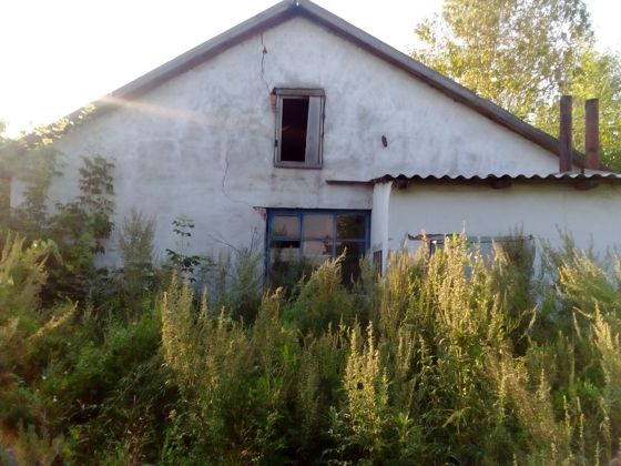 Здание поликлиники расположенное на земельном участке