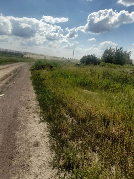 Право заключения договора аренды земельного участка