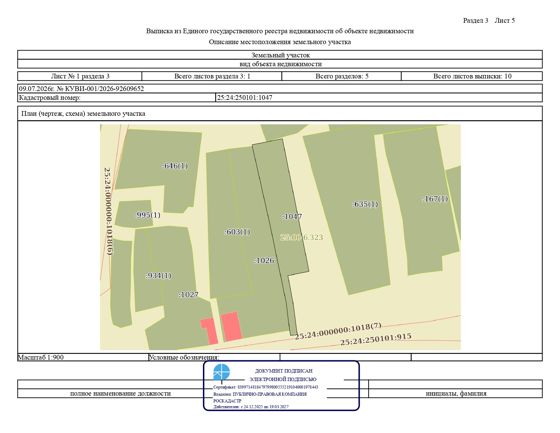 Продажа земельного участка с кадастровым номером 25:24:250101:1047, общей площадью 917 кв. м