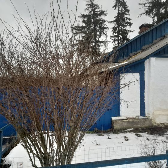 Жилое помещение, назначение: жилое, общей площадью 31,1 кв.м., кадастровый номер 46:32:010103:6820, расположенное по адресу: Российская Федерация, Курская область, г. Льгов, ул. Зеленая, д. 18, кв. 2
