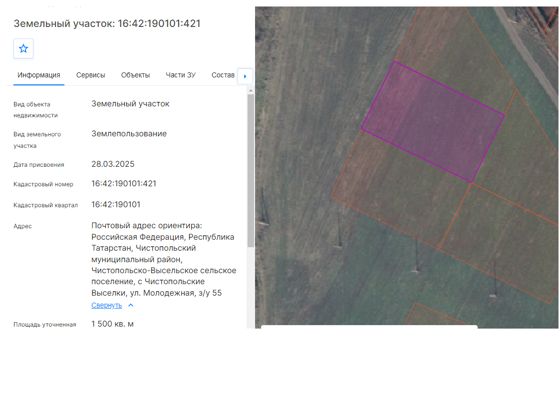 Земельный участок, из категории земель населенных пунктов со следующими характеристиками: Российская Федерация, Республика Татарстан, Чистопольский муниципальный район, Чистопольско-Высельское сельское поселение, с Чистопольские Выселки,                     ул. Молодежная, з/у 55, площадью 1500 кв.м, кадастровый номер 16:42:190101:421, сроком на 20 лет, вид разрешенного использования: для ведения личного подсобного хозяйства (приусадебный земельный участок).