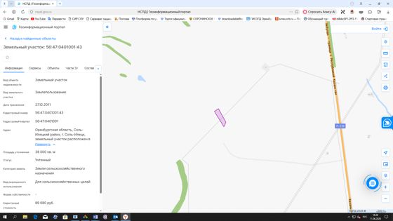 Земельный участок с кадастровым номером 56:47:0401001:43