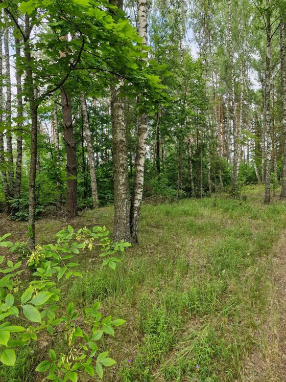 Право на заключение договора аренды земельного участка