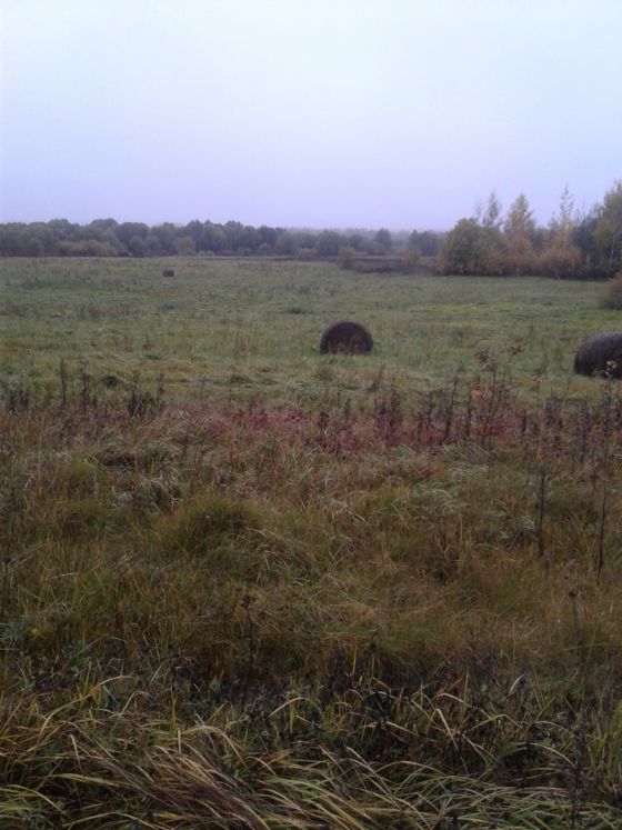 аренда земельного участка