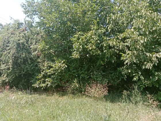 Земельный участок с расположенным на нем жилым домом
