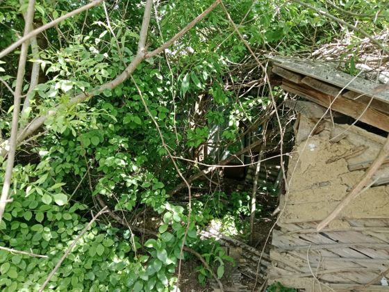 ½ доли земельного участка с расположенной на нем ½ доли жилого дома