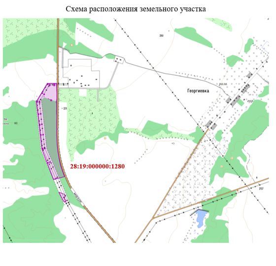 Земельный участок с кадастровым номером 28:19:000000:1280