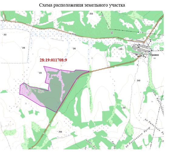 Земельный участок с кадастровым номером 28:19:011708:9