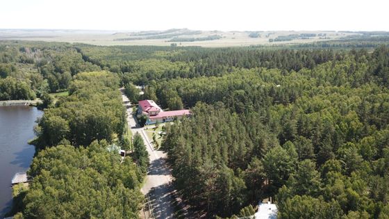 Муниципальное имущество, расположенное по адресу:Челябинская область, Верхнеуральский  муниципальный район, Сурменевское сельское поселение, территория Карагайского участкового лесничества