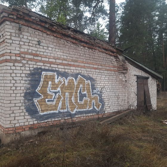 Нежилое здание, общей площадью 45,3 кв.м, кадастровый номер: 56:08:0207001:194, расположенное по адресу: Оренбургская область, Бузулукский район, п. Заповедный, ул. Дорожная, д. 3