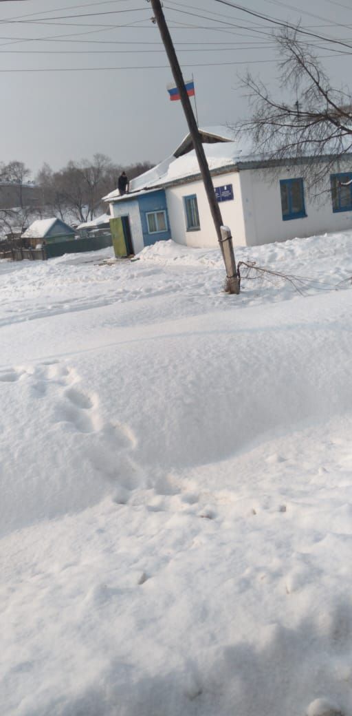 Нежилое помещение
